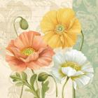 Pastel Poppies Multi II