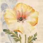 Watercolor Poppies II