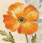 Watercolor Poppies III (Orange)