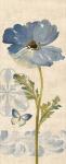 Watercolor Poppies Blue Panel II