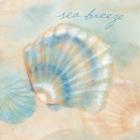 Watercolor Shell Sentiments I