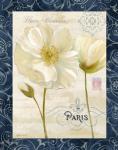 Paris Poppies w/Navy Border II