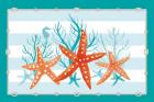 Coral Aqua II on Teal