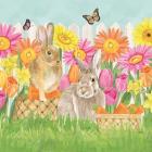 Hoppy Spring VII