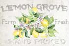 Lemon Grove I