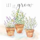 Let it Grow III