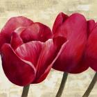 Red Tulips (Detail)