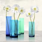 Poppies in crystal vases (Aqua I)