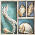 Collection of Memories I