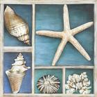 Collection of Memories II