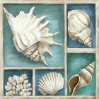 Collection of Memories III