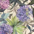 Lilac Hydrangeas