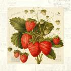 Fraises