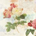 Redoute's Roses 2.0 I