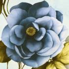 Azaleas III (detail)