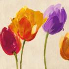 Tulips & Colors (detail)