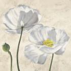 Poppies in White I