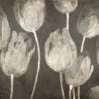 Washed Tulips I