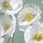 Poppies on Mint I