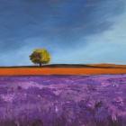 Field of Lavender (Detail)