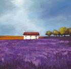 Field of Lavender I