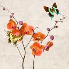 Orchids & Butterflies I