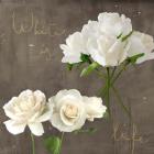 White Roses