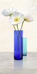 Poppies in crystal vases (Aqua II)