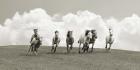 Herd of Wild Horses (BW)