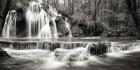 Waterfall in a forest (BW)