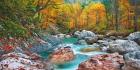 Mountain Brook and Rocks, Carinthia, Austria