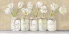 White Tulips in Mason Jars