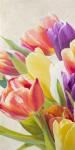 Spring Tulips I