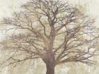 Sacred Oak