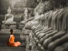 Young Buddhist Monk Praying, Thailand (BW)