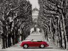 Roadster in Tree Lined Road, Paris