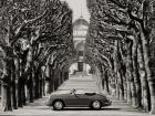 Roadster in Tree Lined Road, Paris (BW)