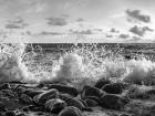 Waves Crashing, Point Reyes, California (BW)