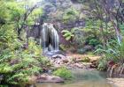 Rainforest waterfall (detail)