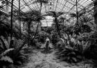 Unconventional Womenscape #2, Jardin d'Hiver (BW)