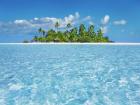 Tropical Lagoon with Palm Island, Maldives