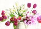 Bouquet on White Background