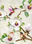 Magnolia and Humming Birds