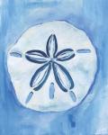 Sand Dollar