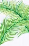 Palm Leaves