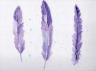 Lavender Feathers