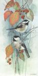 New Chickadee I