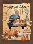 Pumpkin Season III