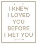 I Knew I Loved You