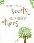 From Little Seeds